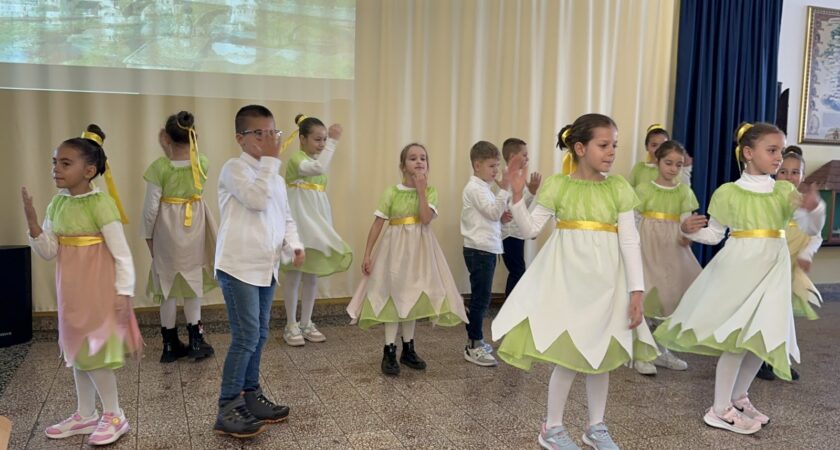 Dan državnosti Bosne i Hercegovine